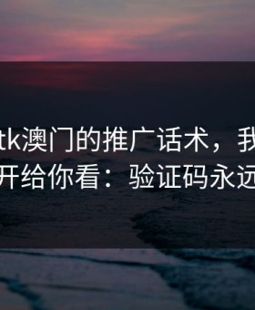 关于99tk澳门的推广话术，我把常见套路拆开给你看：验证码永远别外发